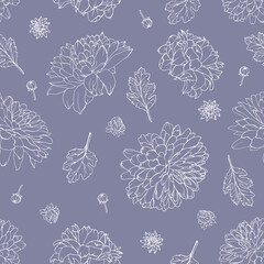 Seamless pattern with white outline of flowers on violet background. Print with chrysanthemum for fabric, wrapping paper, textile, wallpapers. Vector.