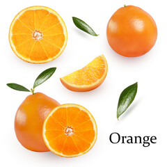 oranges with green leaves on a white background