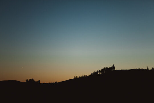 Silhouette of pine trees as sun sets