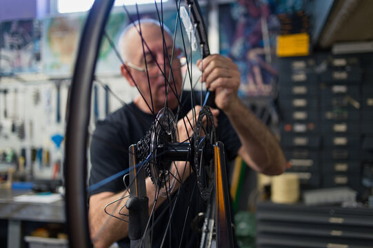 Local Bike Shop: Store Owner Trues Wheel of New Bicycle During B