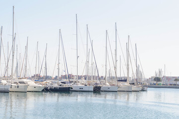 Fototapeta premium in the port of the yacht masts