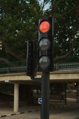 working traffic light in the Park