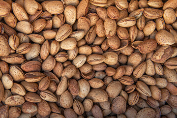 Almonds background