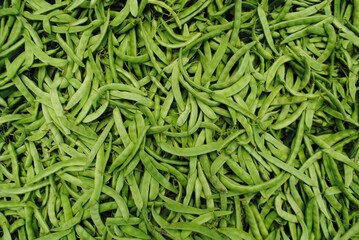 Green and fresh long beans