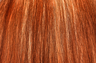 red Hair Texture, close view