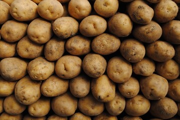 Fresh potatoes.