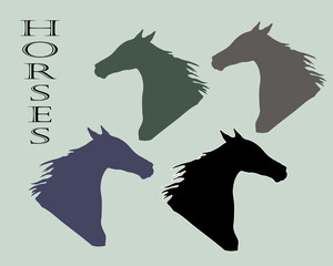 set of isolated horse heads, portrait, sketch,  graphics monochrome drawing with a thin pen on a colored background