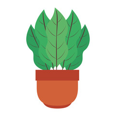 Plant inside pot design of Floral nature garden ornament botany decoration beauty and flora theme Vector illustration