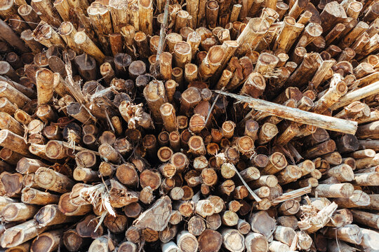 Stack of wood timber in a yard