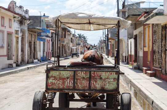 Brown horse pulling a cart down a street in Cardenas, Cuba