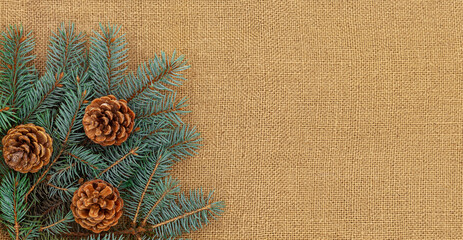 New Year composition on burlap. Christmas tree branches and cones.