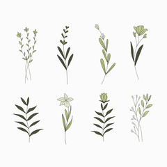 Set of floral elements. Flower and green leaves. Wedding concept - flowers. Floral poster, invite. arrangements for greeting card or invitation design