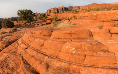 Obraz premium Petrified Sand Dunes With Red Mountain In The Distance, Snow Canyon State Park,Utah,USA