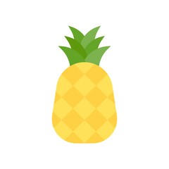 Hawaii icon related pineapple fruit with leaves and strips vector in flat style,