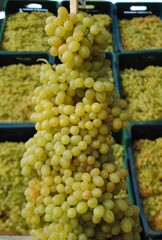 Bunch of seedless yellow grapes.