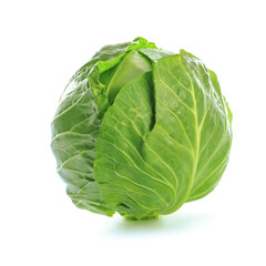 Obraz premium Fresh head of green organic cabbage isolated on a white background in close-up