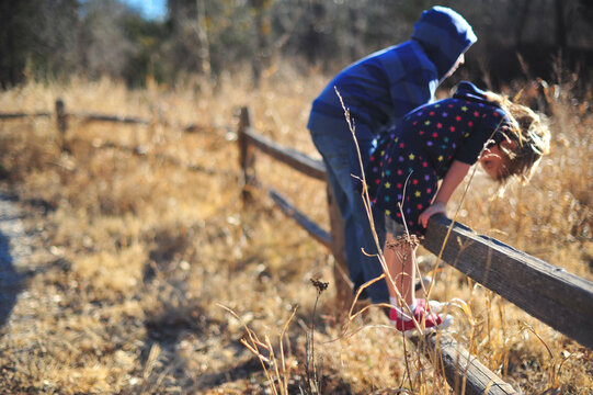 Brother and Sister Stand on a Split Rail Fence in Field.