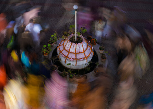 Devotees going around to sacred Tulasi plant. Religious rituals. India