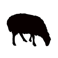 a sheep body silhouette vector