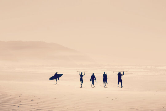 Surfer silhouettes walking along the beach