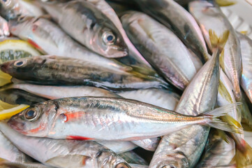 Scads freshly caught from the Black Sea.