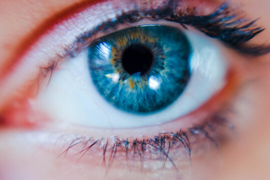 Close up of a blue eye