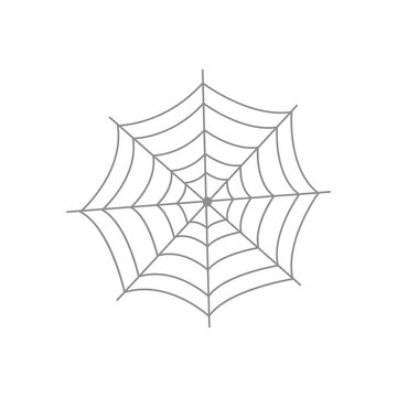 spiderweb icon image, flat style
