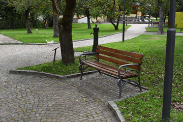 Fototapeta premium panca al parco panchina parco città 
