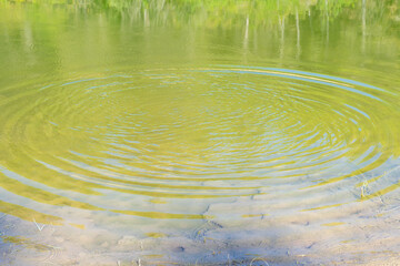 Expansion waves in the water caused by throwing a stone