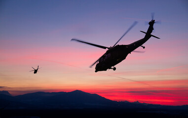 Black Hawks at Sunset
