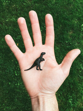 T-Rex Dinosaur in hand
