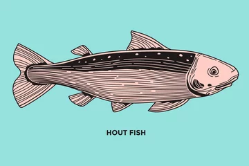 Foto auf Leinwand Hout Fish Illustration with detail stroke and line style © defarmerdesign