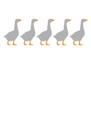 5 Gänse Team 
