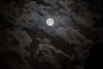 Background with night cloudy sky and full moon. Halloween Spooky night.