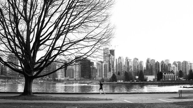 A solitary man running in the park
