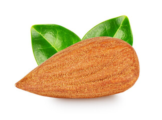 Peeled almond kernel with green leaves