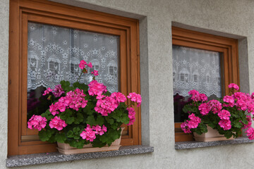 Fototapeta na wymiar finestra con fiori fioriera fiorirai 