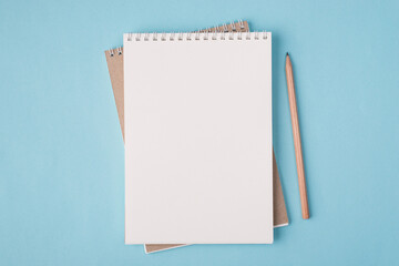 Top above overhead view flat lay  photo of a blank notebook and a pencil beside isolated on pastel...