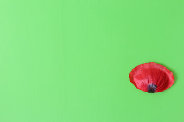 poppy on a green background. plant a poppy in the pharmaceutical industry