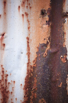 beautiful textured, old and weathered patina on corrugated tin sheds and fences