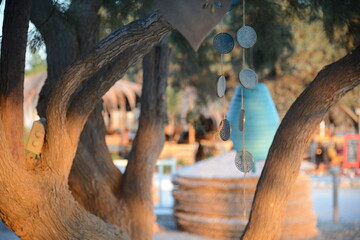 Naoxos Greek Island Holiday Vacation