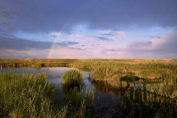 Lake with vegetation and with the rainbow