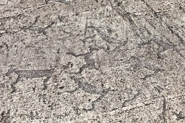 Ancient petroglyphs on the surface of granite slabs close-up. Ancient images of people and animals on a stone surface. Rock painting of ancient people. Close-up of paintings and rock carvings. Art.