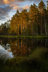 autumn trees reflected in water