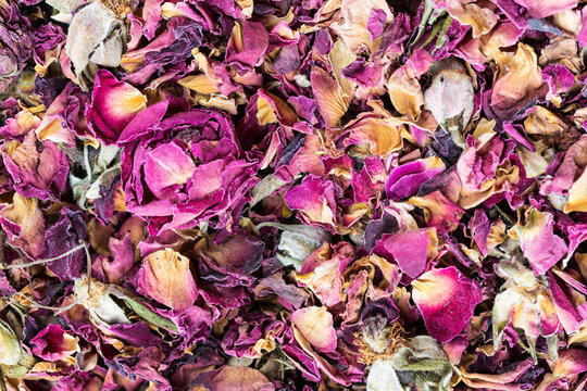 Close-up of dried rose petals