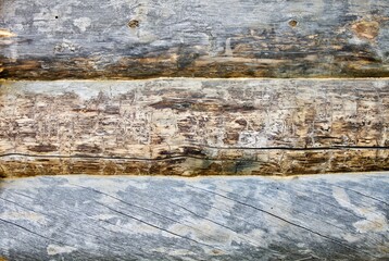 Pine log walls texture close up. Wooden Log cabin walls made from an arctic pine. The frame of a wooden blockhouse. The wall surface fragment  of a log village house. Old pine log wall full frame.