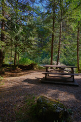 Campsite with picnic table and firepit, Strathcona Provincial Park, BC