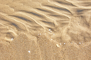 sea sand background