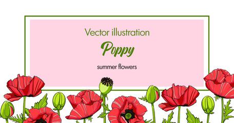poppies red flowers leaves vector illustration greeting cards flyers wedding invitation