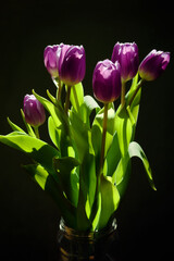 Bunch of purple tulips on dark background, flowers beautifully illuminated by the sunlight, still life
